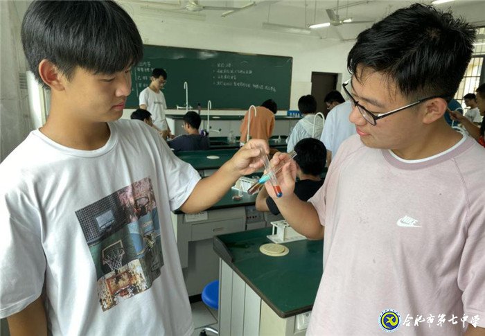 动手动脑 体验科学实验之美(图2)