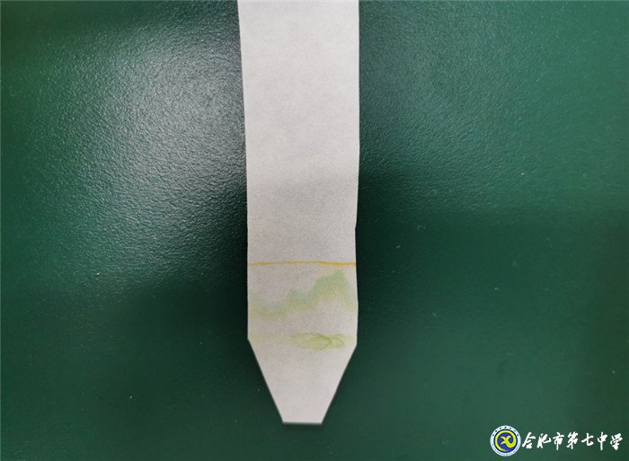 6月24日实习手记:畅游知识海洋 感悟实习生活(图2)