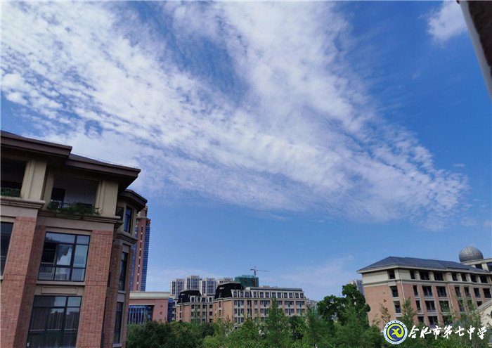 6月24日实习手记:畅游知识海洋 感悟实习生活(图13)