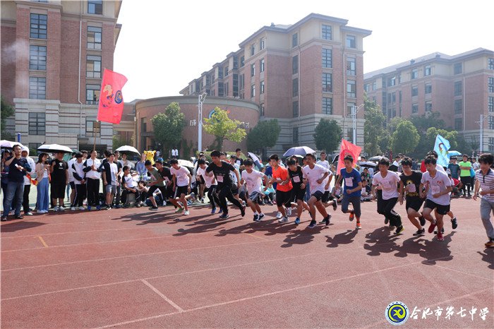 我的家园——七中(图7)