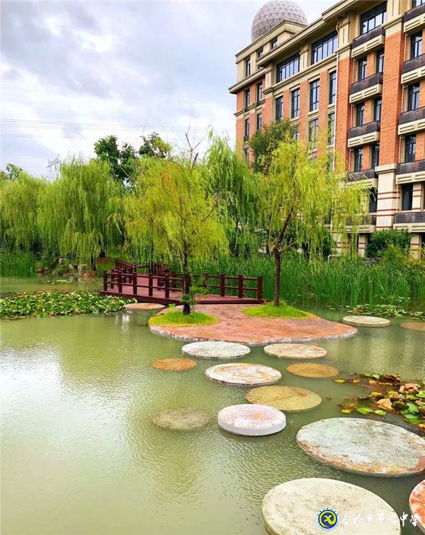身已动,心未远(图2)
