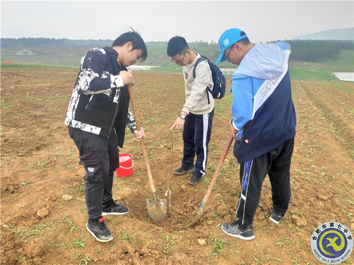 游三瓜公社，学农耕文化(图4)