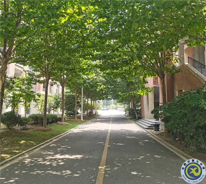 夏日绿荫 张子文.jpg 夏日绿荫 张子文.jpg