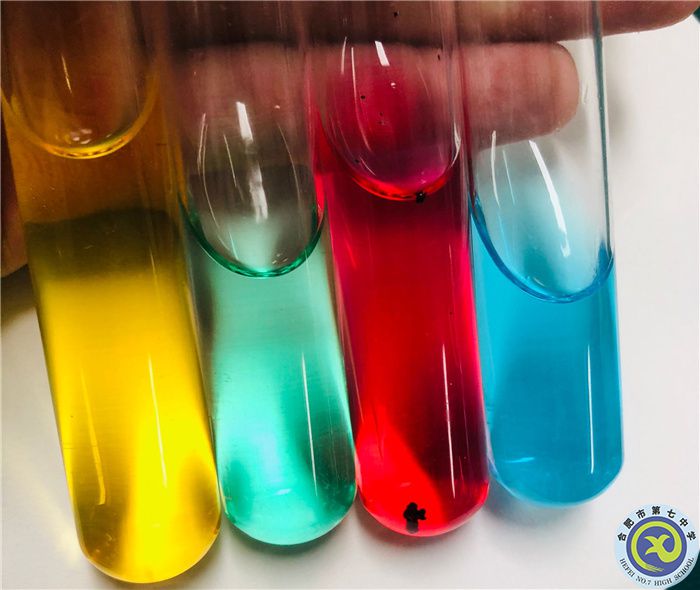 王幸蕊 多彩实验.jpg