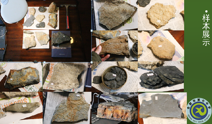 研学硕果盈枝 学生在创新实践中成长(图12) 研学硕果盈枝 学生在创新实践中成长(图12)