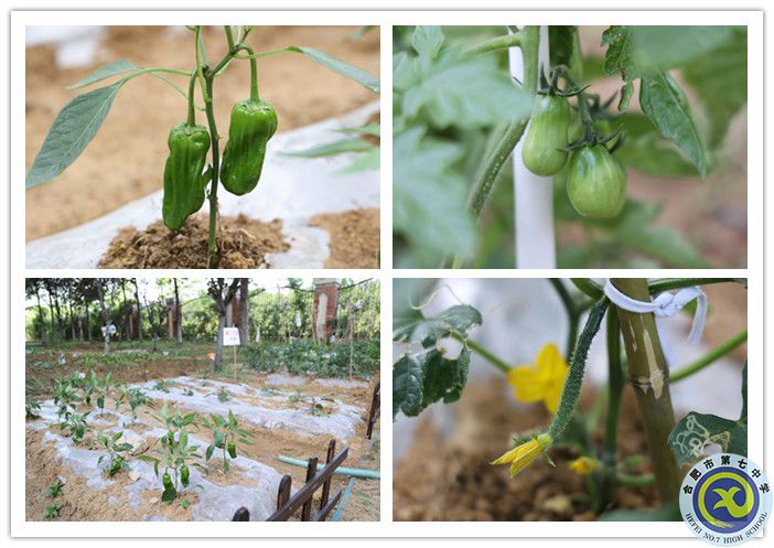 2_副本.jpg 2_副本.jpg