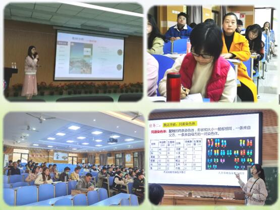 合肥七中高一年级“青蓝工程”成果汇报系列报道（六）(图4)