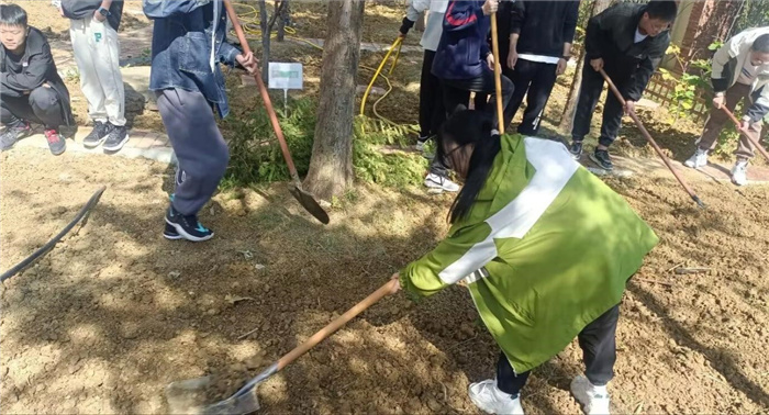 大麦4.jpg 大麦4.jpg