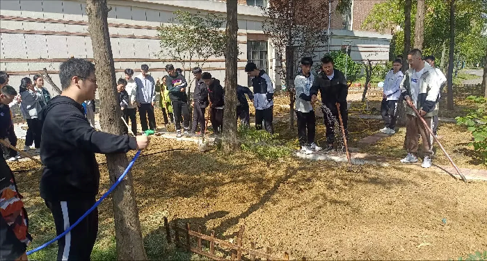 大麦6.png 大麦6.png