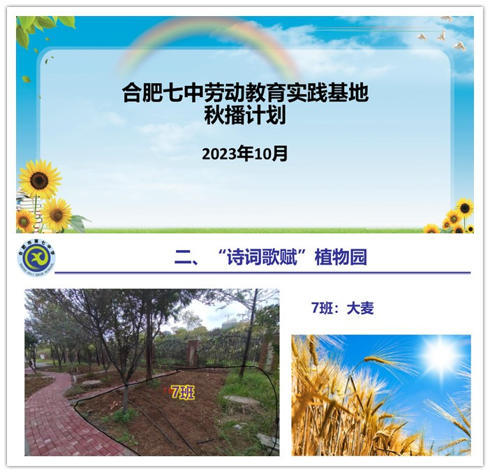 合肥七中2022级高二年级大麦种植历程(图1) 合肥七中2022级高二年级大麦种植历程(图1)