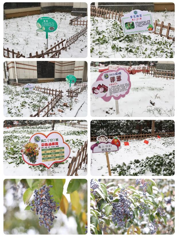 QQ截图20231219091736.jpg QQ截图20231219091736.jpg