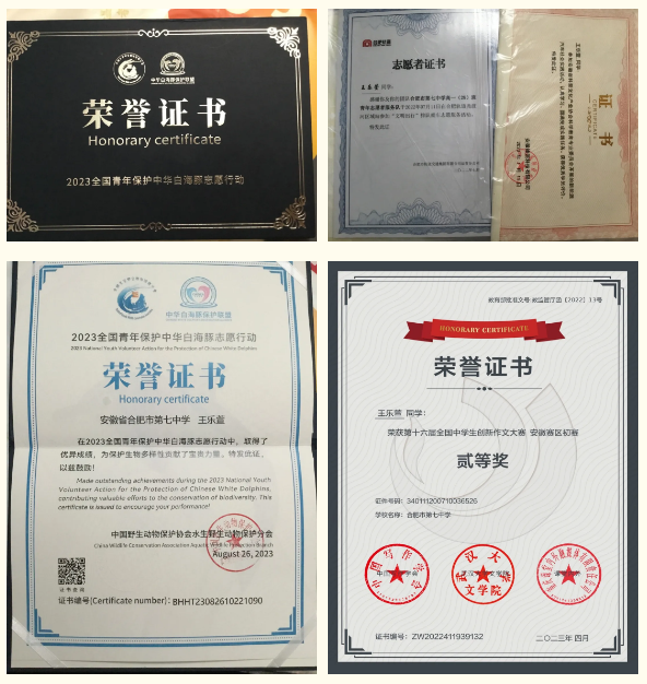 QQ截图20240817110414.png QQ截图20240817110414.png