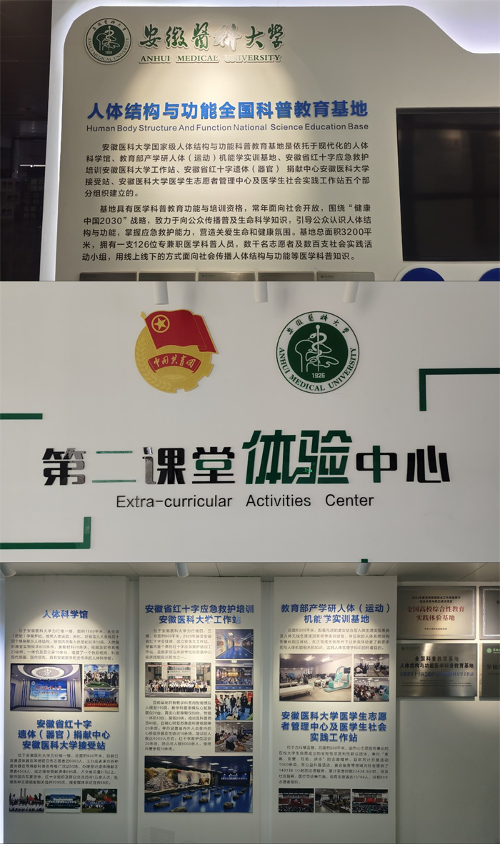 合肥七中高一 （25） 班赴安医大人体科学馆开展寒假社会实践活动(图2)