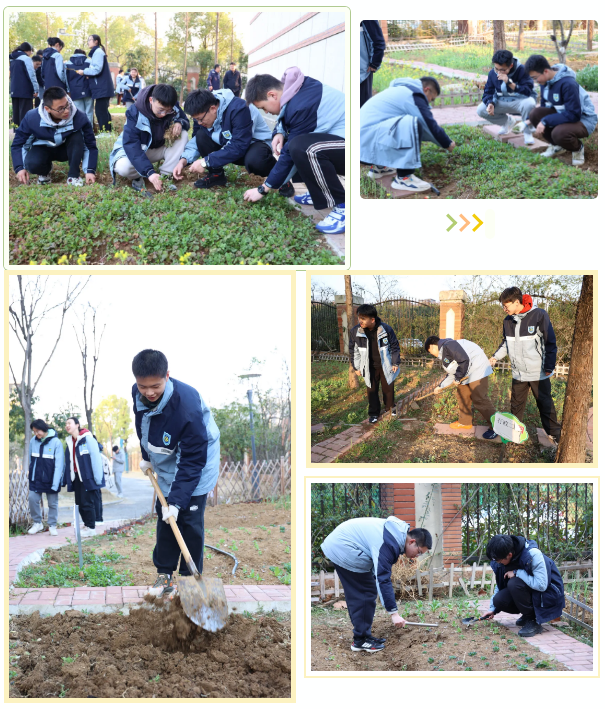 QQ截图20250310102115.png QQ截图20250310102115.png