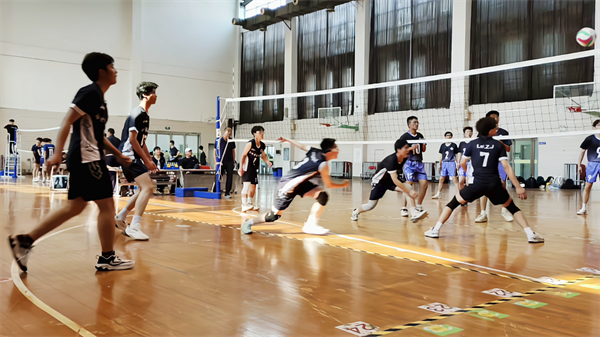 排球获奖5.png 排球获奖5.png