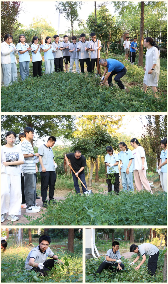 QQ截图20251010152315.png QQ截图20251010152315.png