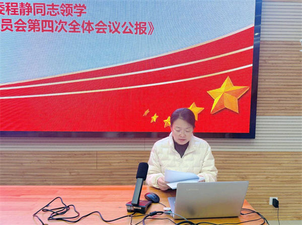 合肥七中第二党支部召开全体党员大会(图2)