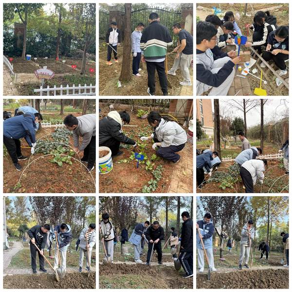 从播种到收获，七中少年在田埂上书写成长答卷(图3)