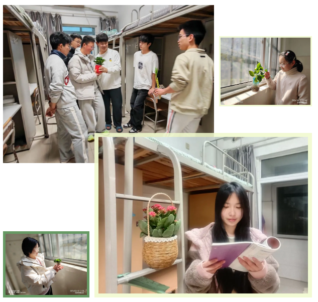 QQ截图20260319091323.png QQ截图20260319091323.png